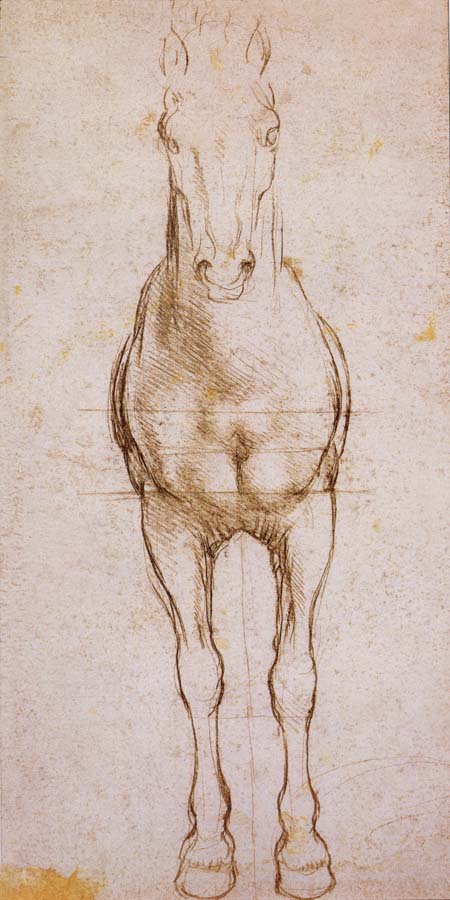 Study of the proportion of horses
